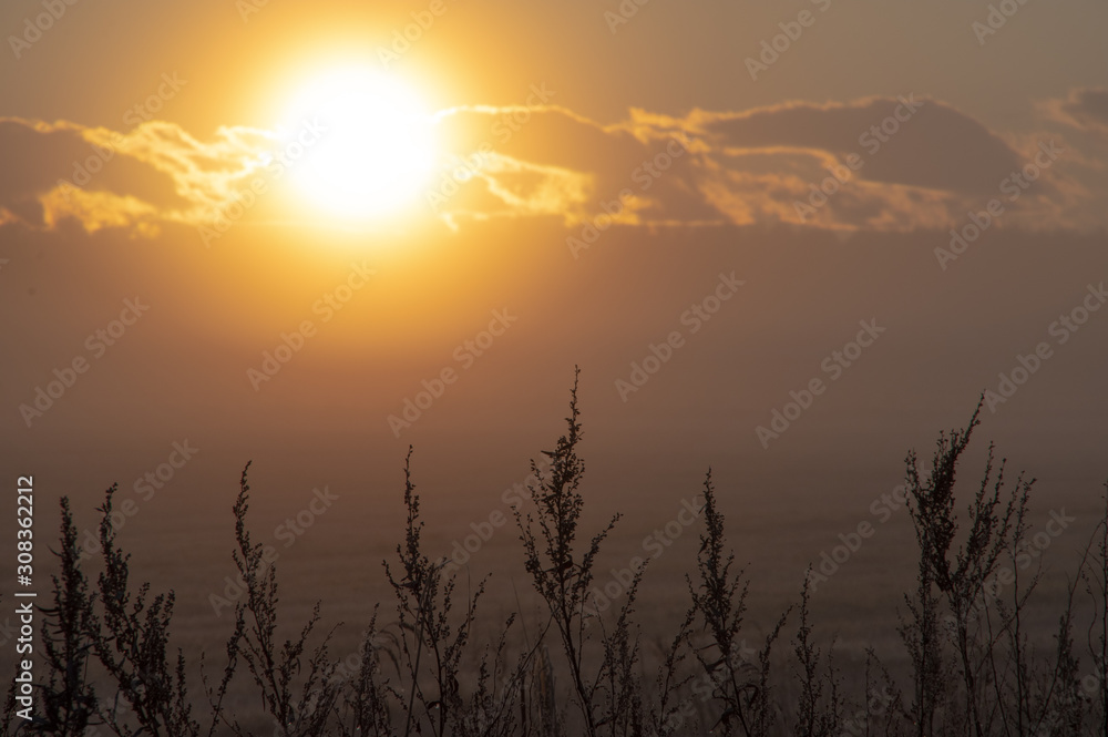 豊かな大地を照らす朝陽。草原の朝の風景。