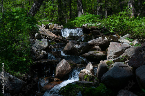 Pure water in the taiga stream far from civilization