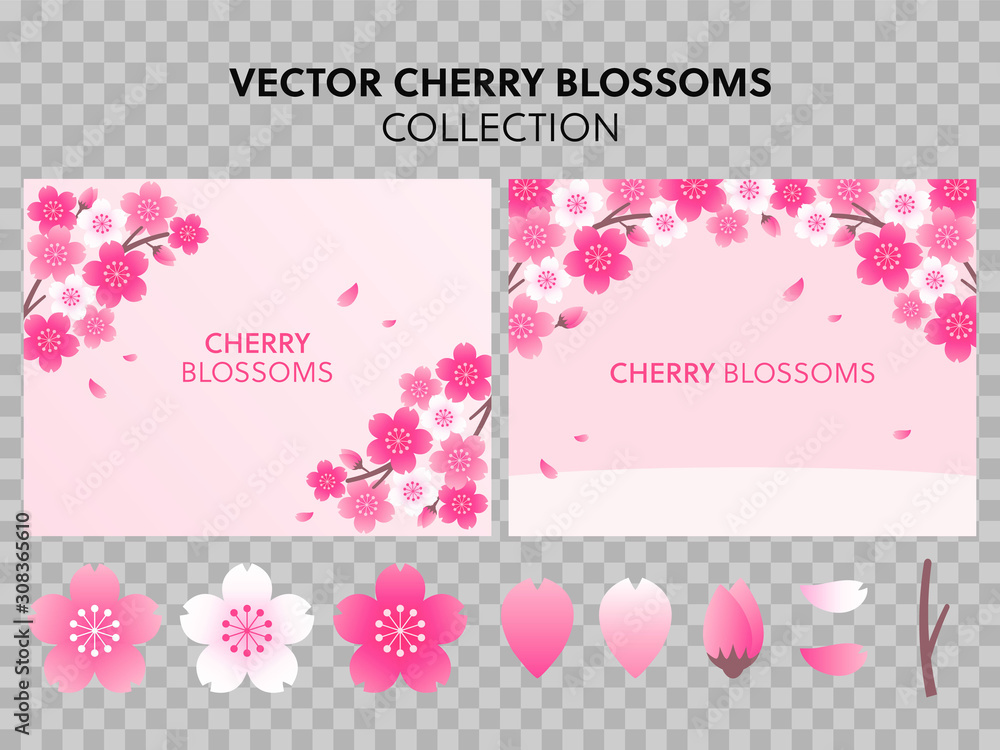 Cherry blossom, sakura branch on pink background. Image of springtime. Vector illustration.