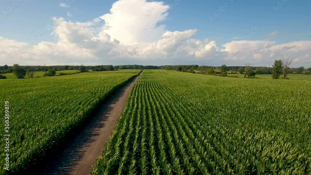 Aerial view of summer crops in Canadian farm land & car on the road Aerial view of summer crops in Canadian farm land & car on the road