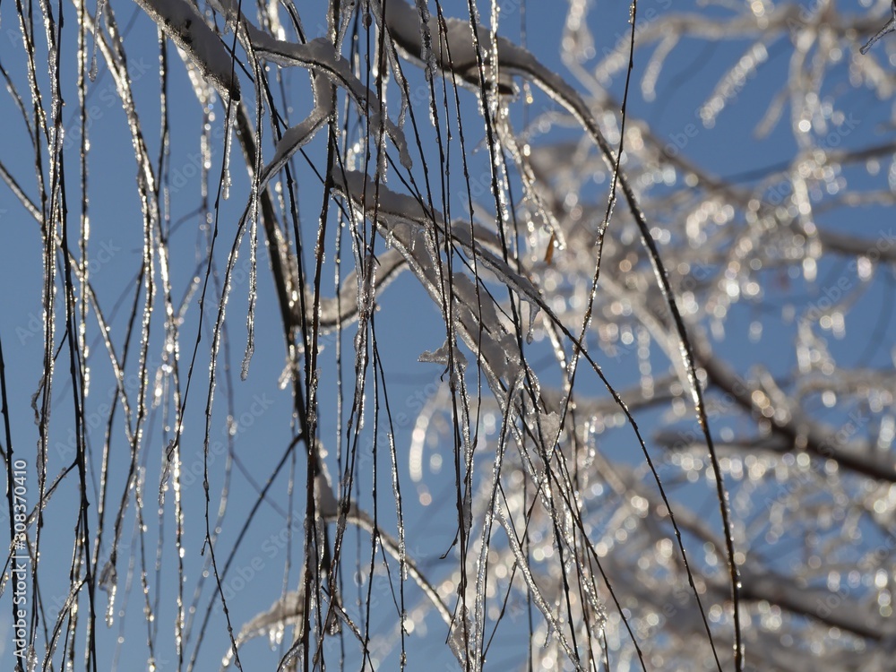 Artistic background of twigs and bokeh, all covered with ice and snow on a winter morning Artistic background of twigs and bokeh, all covered with ice and snow on a winter morning