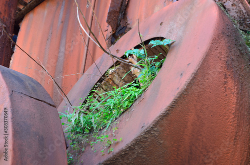 Plants growing out of rusty metal structure
