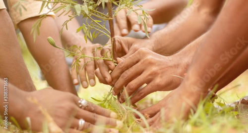 Close up of people hands planting tree seedling in park - volunteering, charity, people and ecology concept to save trees and environmental conservation.