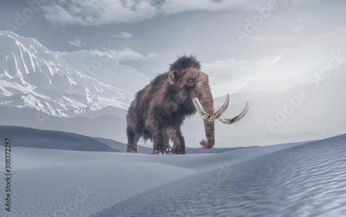 mammoth in the mountains