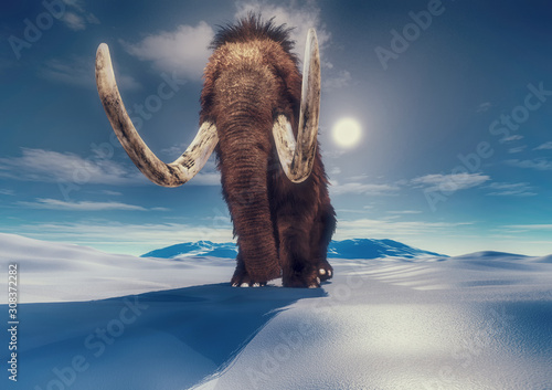 mammoth in the mountains