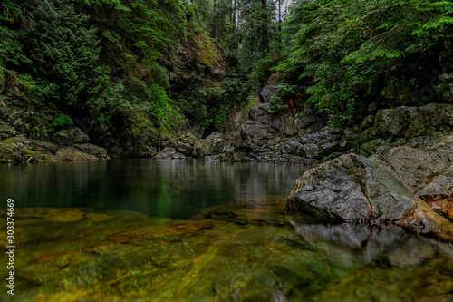 Fototapeta Naklejka Na Ścianę i Meble -  Pine trees reflecting in the crystal clear water of a lake on a cloudy day in Lynn Canyon Park forest, Vancouver, Canada