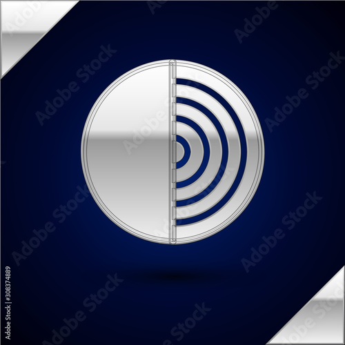 Silver Earth structure icon isolated on dark blue background. Geophysics concept with earth core and section layers earth. Vector Illustration