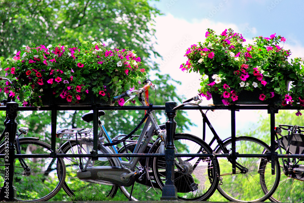 Amsterdam bike and flowers on bridge overpass.