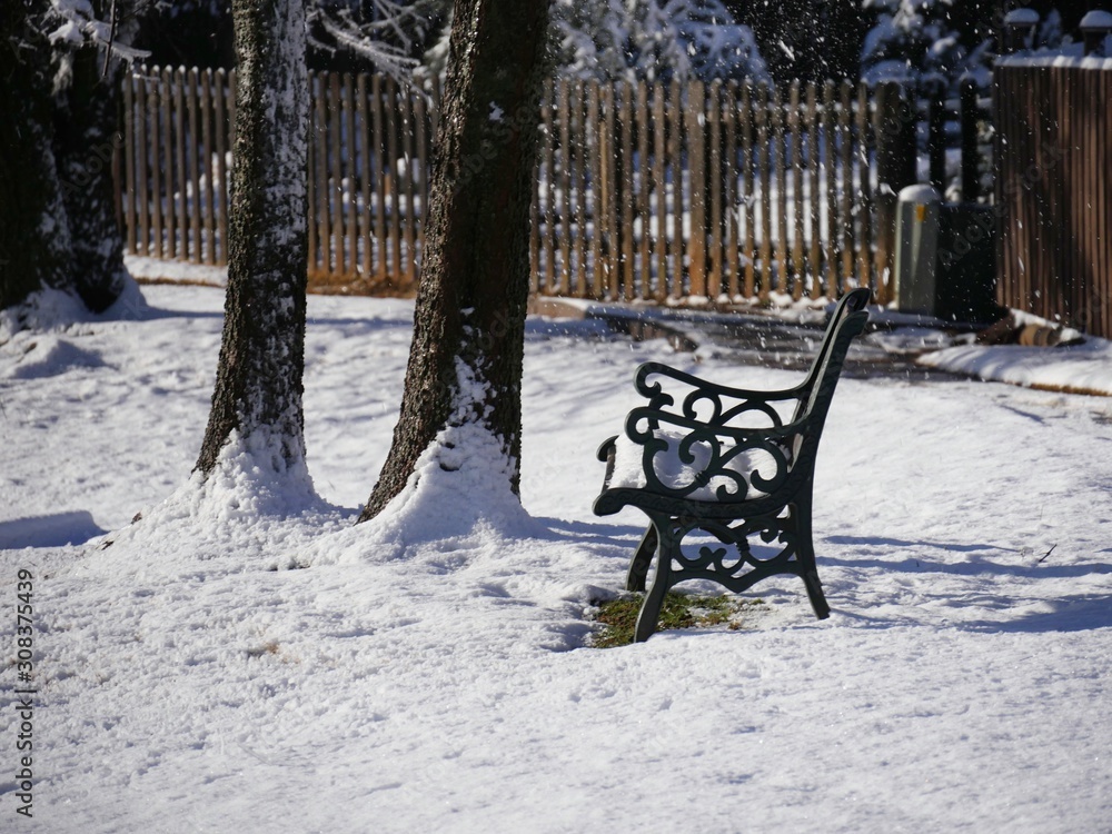 Wrought iron bench by two trees all covered with snow on a winter morning, with wooden fences in the background