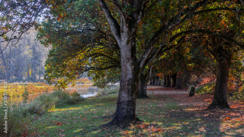 Fall Colors of Trojan Lake State Park at Trojan Nuclear Facility, near Rainier, Oregon Autumn photo