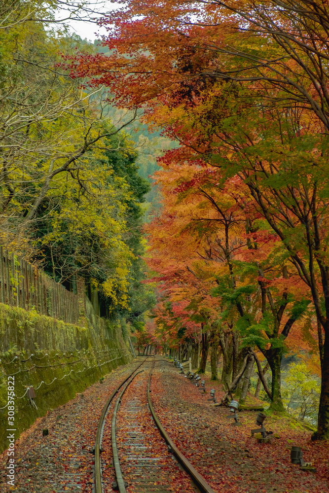 Fotografia Do Stock 京都 紅葉 保津峡 保津川 嵯峨野観光鉄道 トロッコ 列車 広告 素材 テクスチャ Adobe Stock