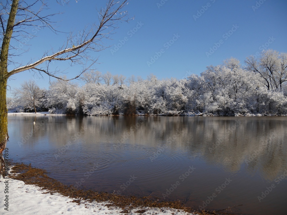 Winter scene by the pond, with the snow-covered trees reflected in the water Winter scene by the pond, with the snow-covered trees reflected in the water