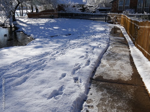 Wallpaper Mural Marks and shoe prints left on the fresh white snow on the ground, with the snow melting on the concrete walkway Torontodigital.ca