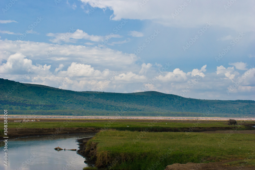 River running into lake Nakuru with Rhinoceros and flamingoes