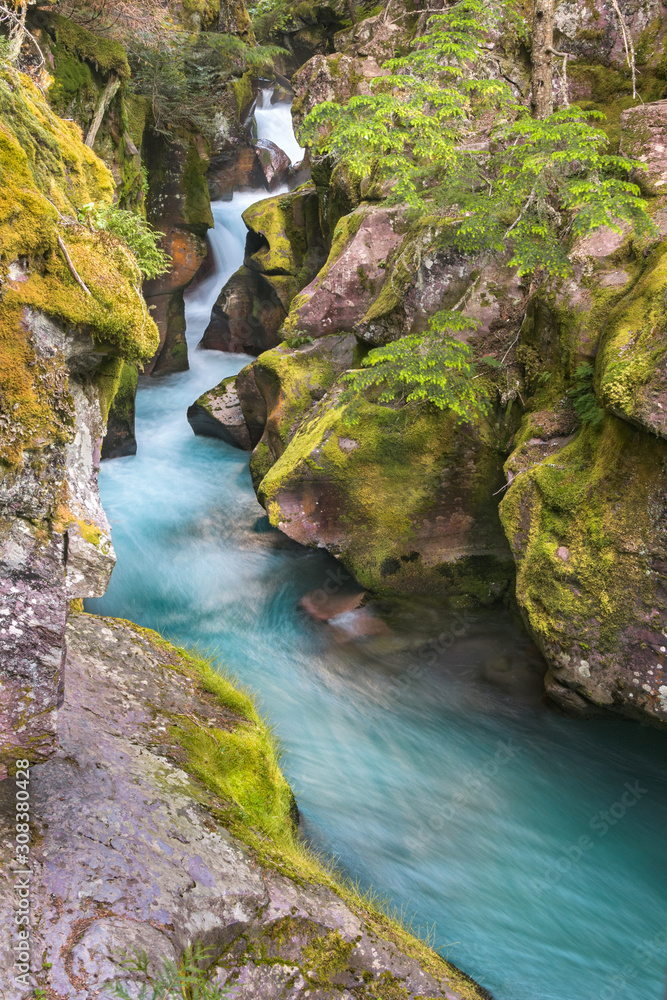 Naklejka premium stream in the forest