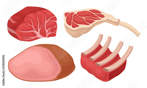 Fresh Meat Collection, Different Cuts of Meat Gastronomic Products Vector Illustration