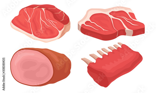 Meat Collection, Different Fresh Cuts of Meat Gastronomic Products Vector Illustration