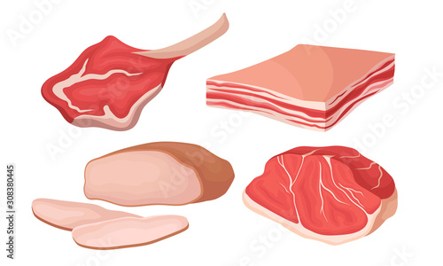 Meat Collection, Different Meat Parts Assortment Gastronomic Farm Products Vector Illustration