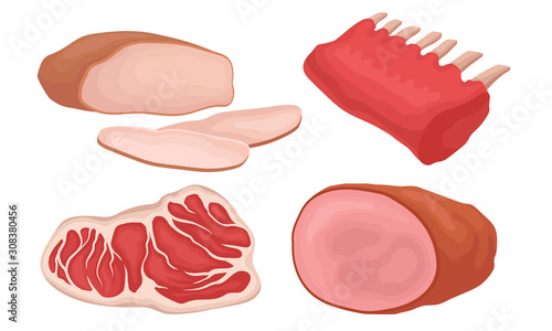 Fresh Meat Collection, Meat Parts Assortment Gastronomic Products Vector Illustration