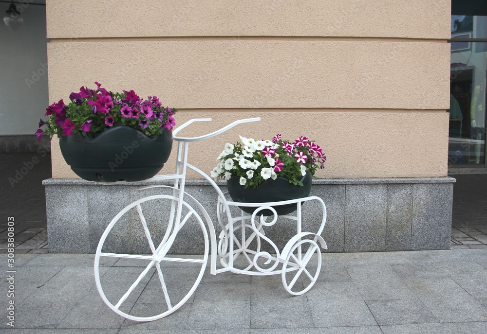basket with fresh flowers on a Bicycle