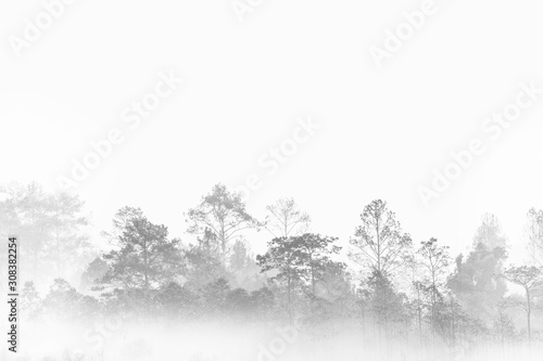 silhouette forest outline. fog covered jungle. Thailand multiple layers tropical wood land.