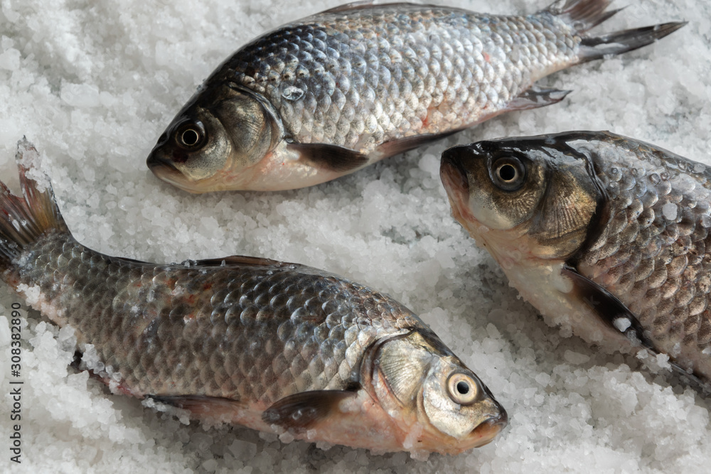 Raw fishes on salty background. Healthy eating ingredient Raw fishes on salty background. Healthy eating ingredient
