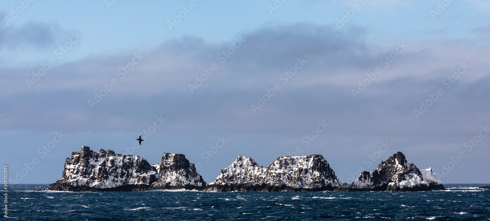 Seabirds flying in front of the mountains in Antarctica at the South Shetland Islands