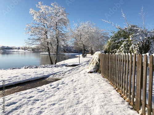 Fresh snow covers the ground and the trees by the pond