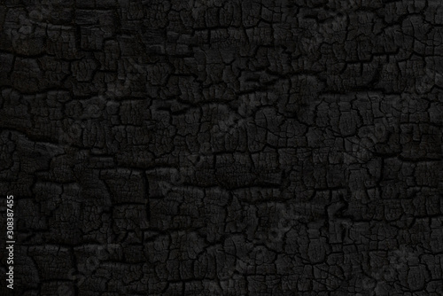 Wood charcoal texture. Burnt tree. Black coal background