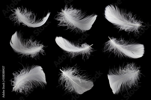 Set of white feathers isolated on black backgrond