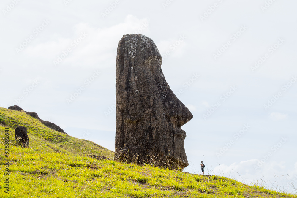 Moais on the outer slopes of Rano Raraku volcano. Rano Raraku is the quarry site where the moais were carved. Easter Island, Chile - April, 2018