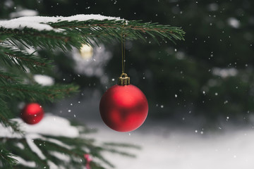 Red christmas ball on christmas tree and snow. Winter season, christmas and New Year holidays background. Close up, copy space