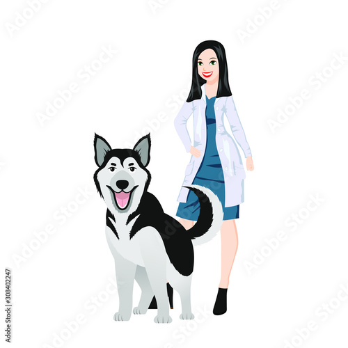 Veterinarian next to the dog. The husky breed. The concept of treatment of Pets. Veterinary professional consultation.