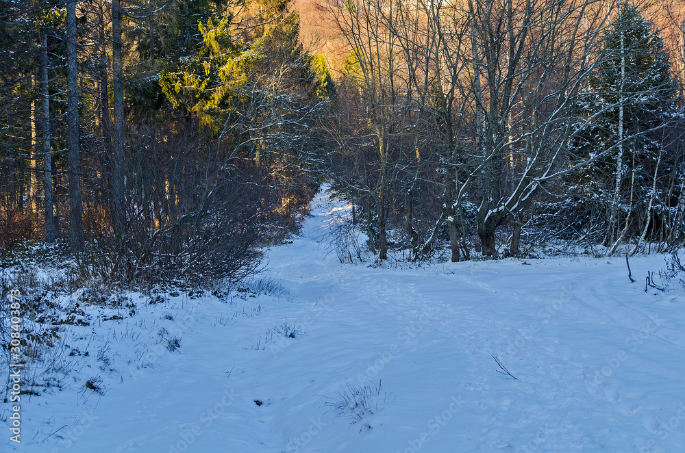 bieszczady szlak turystyczny