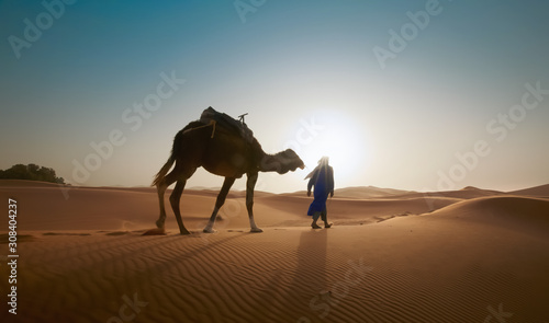 Blur photo - abstract image for the background. A man with a camel travels through the desert in backlight.