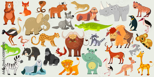 Set of funny animals, birds and reptiles from all over the world. World fauna. Vector illustration
