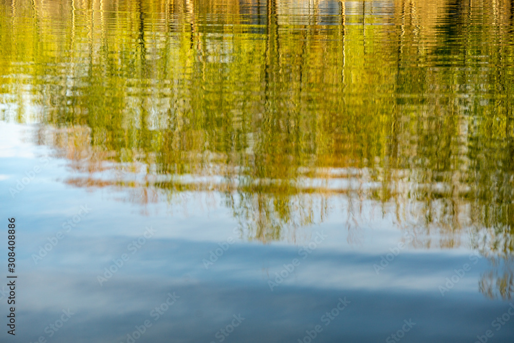 Bright yellow aspen trees reflect in a lake during peak fall colors. Shimmering reflections are pained bright gold in the morning sun. Bright yellow aspen trees reflect in a lake during peak fall colors. Shimmering reflections are pained bright gold in the morning sun.