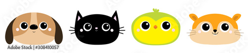 Parrot Dog Black Cat Hamster bird head face round icon set. Kitty kitten. Funny Kawaii animal. Big eyes. Kids print. Cute cartoon baby character. Pet collection. Flat design White background