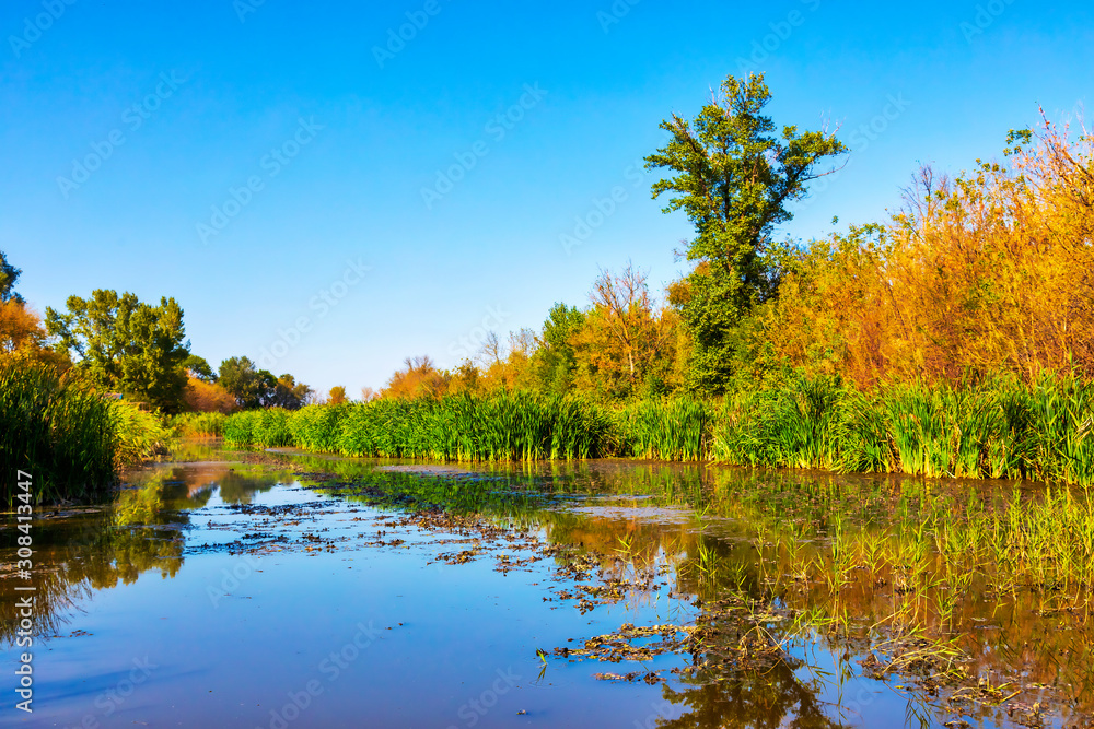 Details of the wetland landscape. Imperial Pond nature reserve. Carska Bara, Vojvodina, Serbia. Image