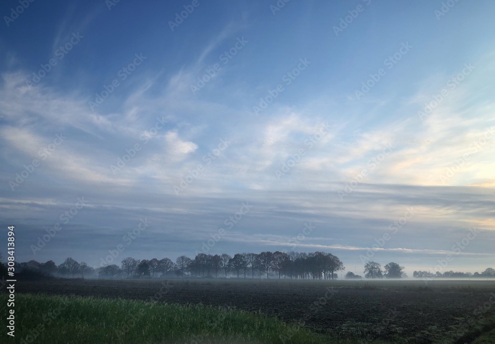  Fog. Misty. Steenwijk Netherlands