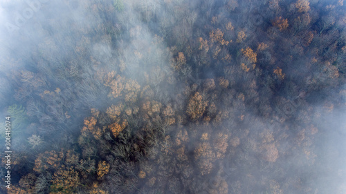 Clouds and mist and smoke from burning trees and fires shrouds a autumn forest in Switzerland. The bare tree tops can be seen poking through the smokey haze.