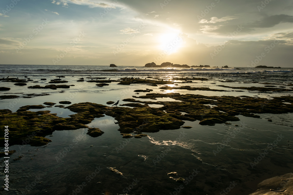 Ocean view at sunset with a shallow and bumps and birds on them in Sri Lanka