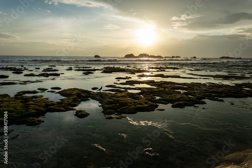 Ocean view at sunset with a shallow and bumps and birds on them in Sri Lanka