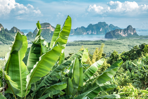 Tableau sur toile Scenic view of the Thailand nature