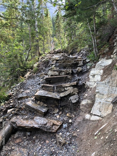 Wallpaper Mural rock stairs in forest Torontodigital.ca