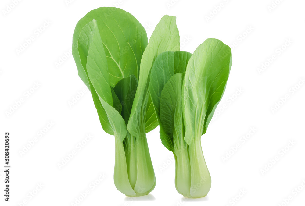 Bok choy vegetable isolated on the white background. Bok choy vegetable isolated on the white background.