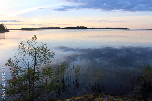 reed is reflected around calm sea