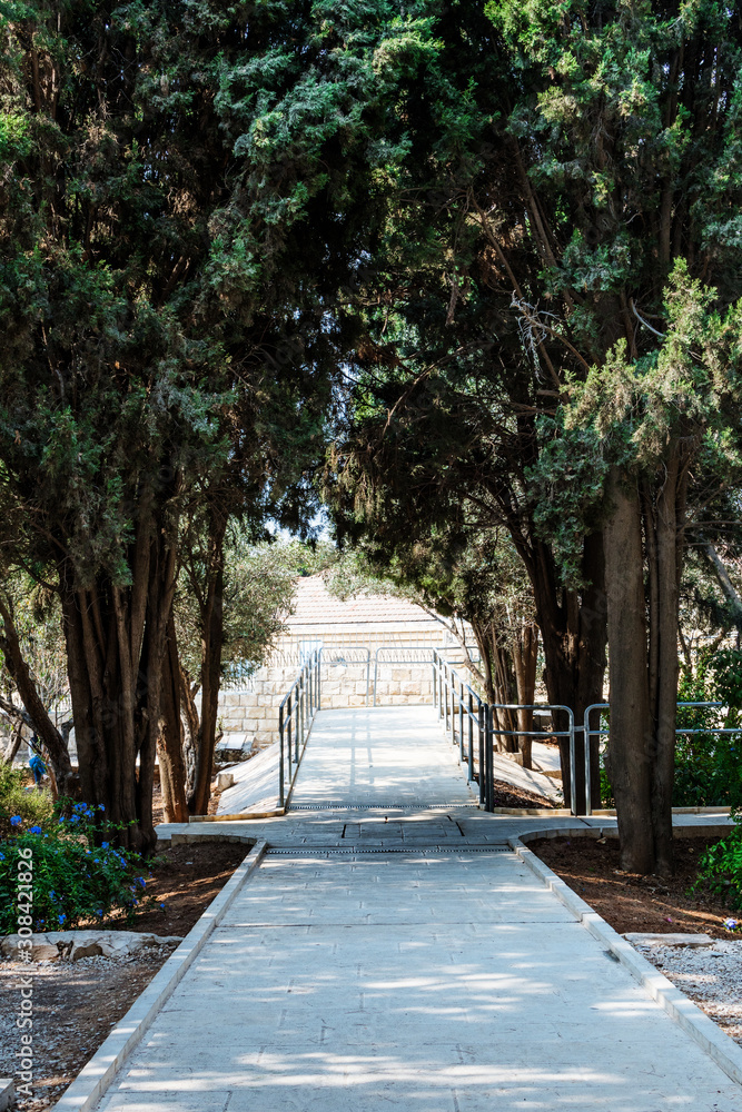 Fototapeta premium small tree lined path in a garden