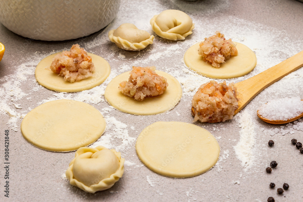 Fish dumplings. Ingredients for home cooking. Fresh dough, fish, spices, cooking equipment. Stone concrete background Fish dumplings. Ingredients for home cooking. Fresh dough, fish, spices, cooking equipment. Stone concrete background