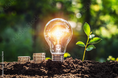 energy concept. eco power. lightbulb with money and young plant on soil sunlight background